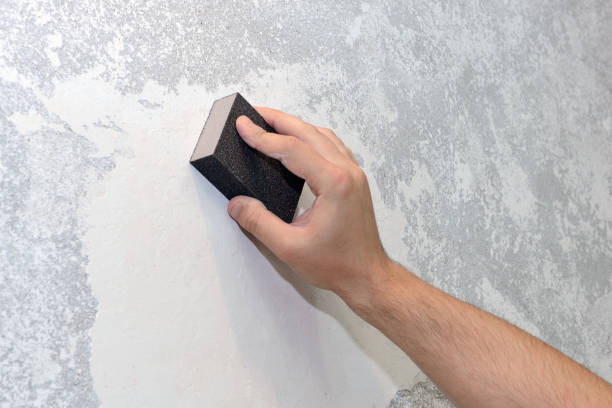 Reliable Bonner West Riverside, MT Mold Removal Solutions