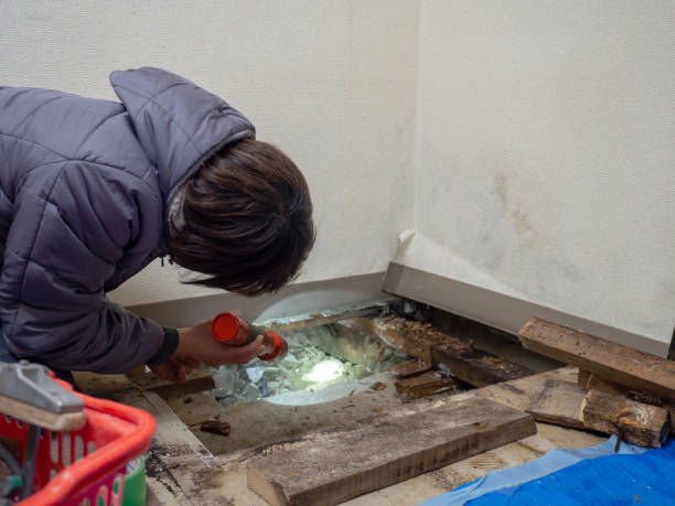 Best Water Damage & Mold Remediation  in Bonner West Riverside, MT
