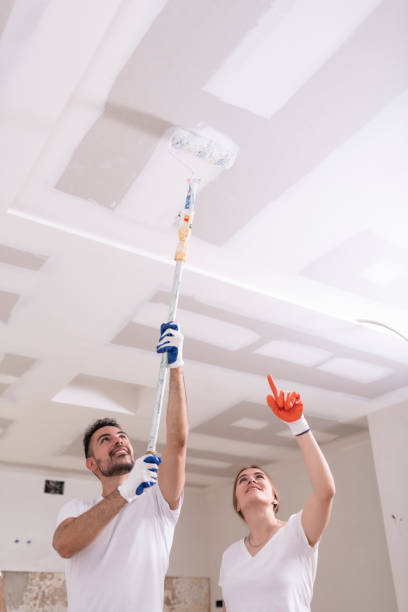 Best Mold Damage Restoration  in Bonner West Riverside, MT