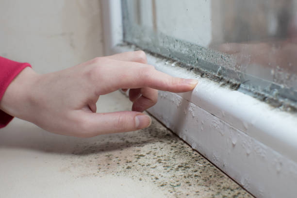 Best Indoor Air Quality Assessment  in Bonner West Riverside, MT