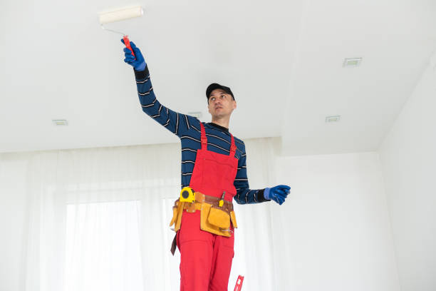 Best Dehumidification Services  in Bonner West Riverside, MT