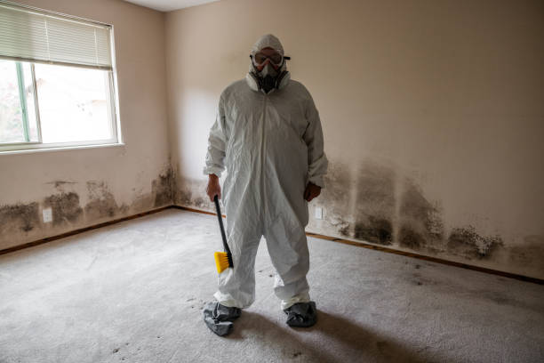 Best Residential Mold Inspection & Testing  in Bonner West Riverside, MT
